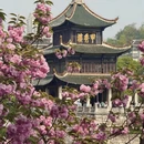 贵阳旅游 缩略图 4