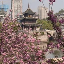 贵阳旅游 缩略图 2