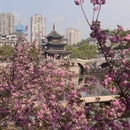 贵阳旅游 缩略图 5