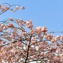 贵阳旅游 缩略图 8