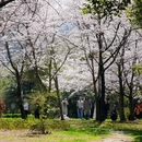 贵阳旅游 缩略图 1