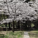 贵阳旅游 缩略图 4