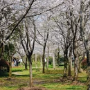 贵阳旅游 缩略图 6