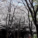 贵阳旅游 缩略图 9