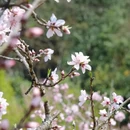 贵阳旅游 缩略图 11