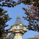 合肥旅游 缩略图 2