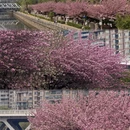 贵阳旅游 缩略图 1