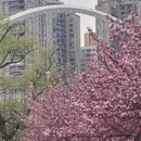贵阳旅游 缩略图 4