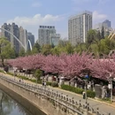 贵阳旅游 缩略图 11