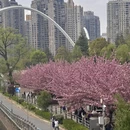 贵阳旅游 缩略图 9