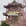 贵阳