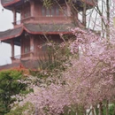 贵阳旅游 缩略图 3