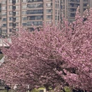 贵阳旅游 缩略图 8