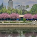 贵阳旅游 缩略图 10
