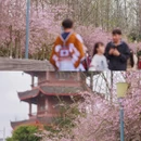 贵阳旅游 缩略图 4