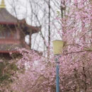 贵阳旅游 缩略图 6