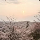 贵阳旅游 缩略图 2