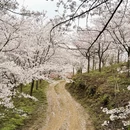 贵阳旅游 缩略图 9
