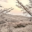 贵阳旅游 缩略图 1