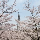 贵阳旅游 缩略图 13