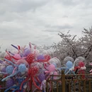 贵阳旅游 缩略图 15