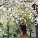 武汉旅游 缩略图 6