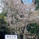 武汉旅游 缩略图 1
