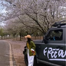 武汉旅游 缩略图 6