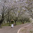 武汉旅游 缩略图 7