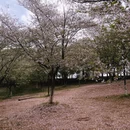 武汉旅游 缩略图 10