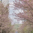 贵阳旅游 缩略图 1