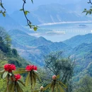 成都旅游 缩略图 4