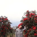 成都旅游 缩略图 10