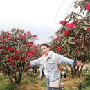 成都旅游 缩略图 9