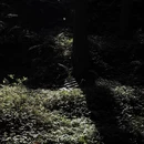 安顺旅游 缩略图 7