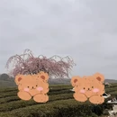 贵阳旅游 缩略图 2