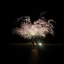 贵阳旅游 缩略图 5