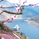 安顺旅游 缩略图 2