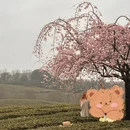 贵阳旅游 缩略图 3
