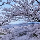 遵义旅游 缩略图 1