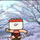 遵义旅游 缩略图 2