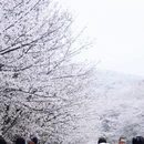 贵阳旅游 缩略图 2