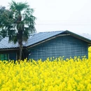 贵阳旅游 缩略图 6