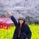贵阳旅游 缩略图 8