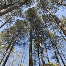 黔南旅游 缩略图 5