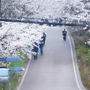 贵阳旅游 缩略图 4