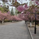 合肥旅游 缩略图 2