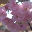 贵阳旅游 缩略图 6