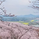 安顺旅游 缩略图 3