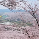 安顺旅游 缩略图 2